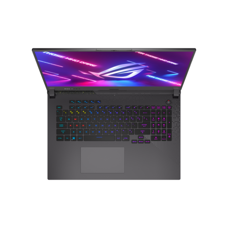 Ordinateur portable GAMER Asus ROG Strix G17 G713IE-HX004W (90NR05B2-M00990)
