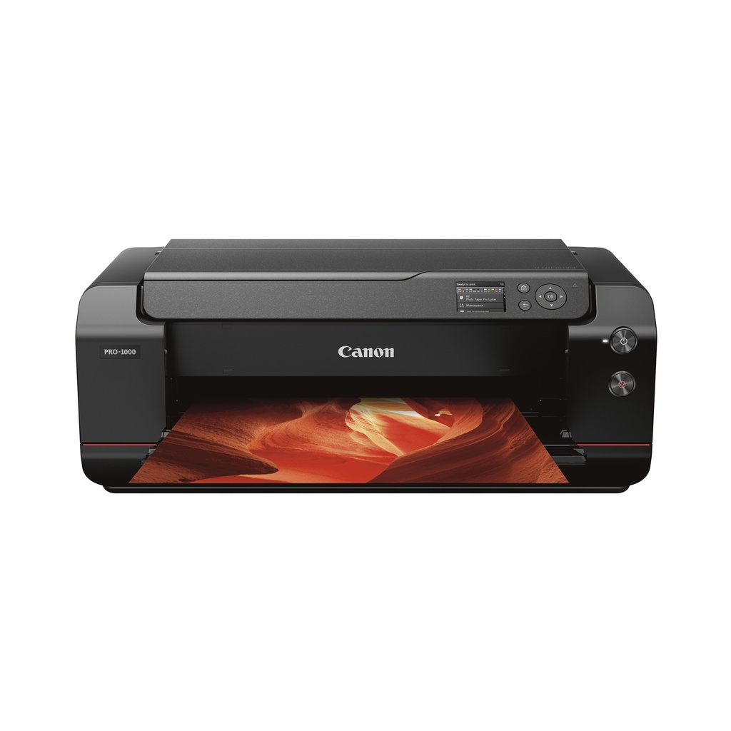 CANON Cartouche PFI-300 PC EUR/OCN