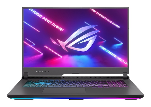 [90NR05B2-M00990] ASUS GAMER ROG STRIX G17 G713IE-HX004W
